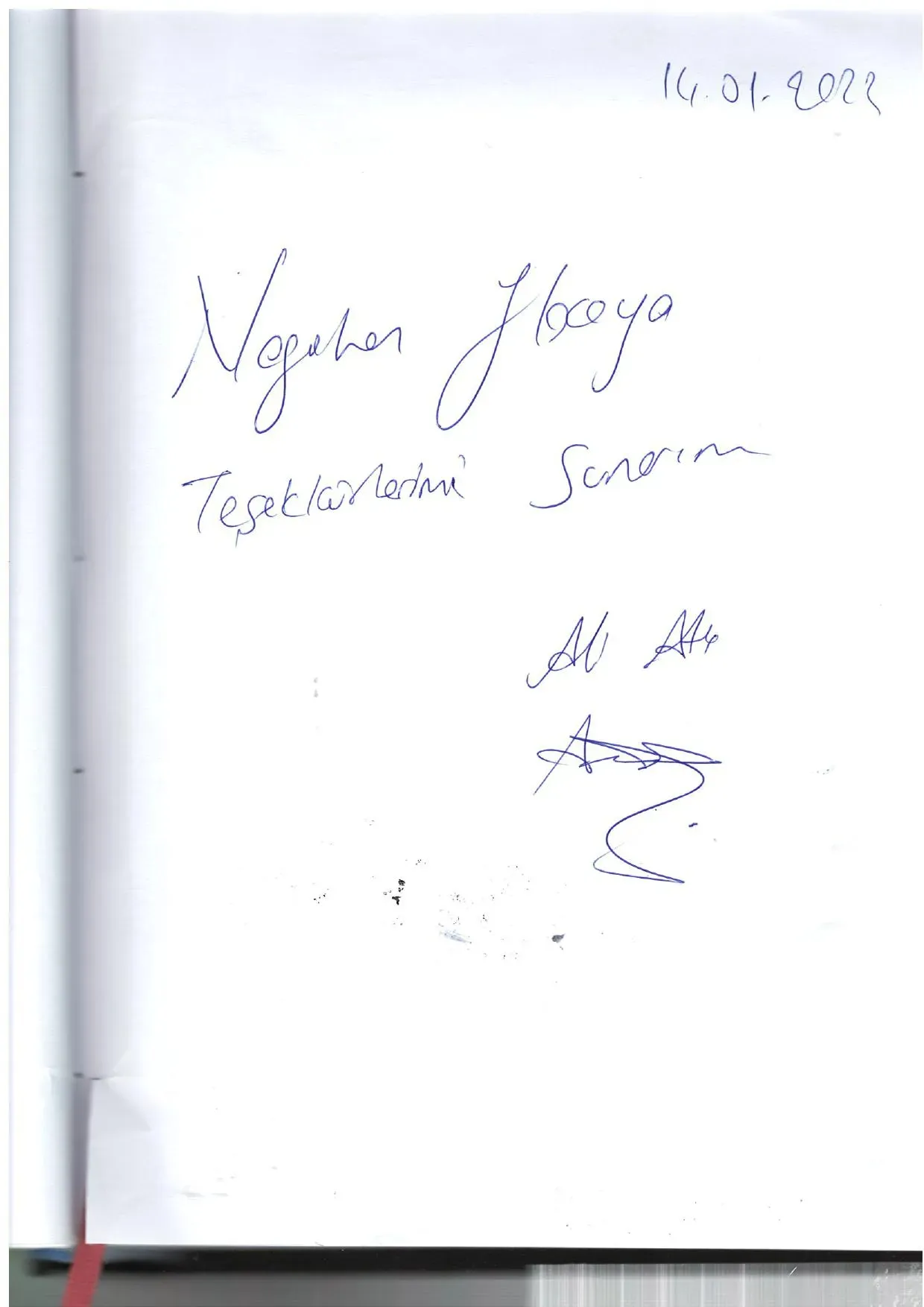 Prof. Dr. Şahnur Keçeci